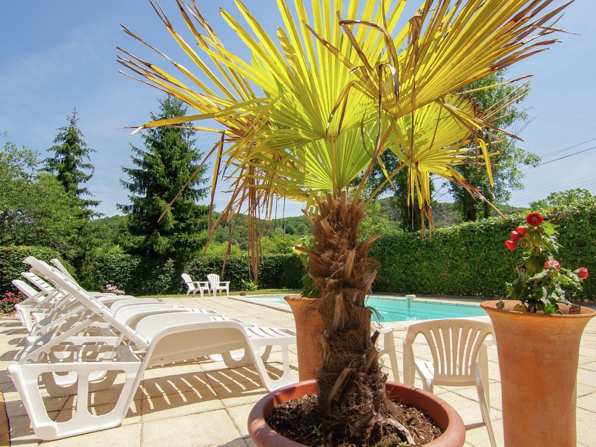 Appealing Apartment In Vezac With Swimming Pool Beynac-et-Cazenac Exterior photo